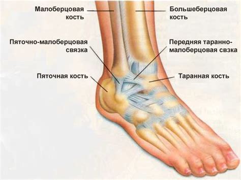 Причины и лечение болей в суставе стопы после травмы